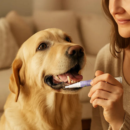 Dental Care Pen For Pets