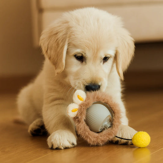 Interactive Play Ball With Fur For Dogs