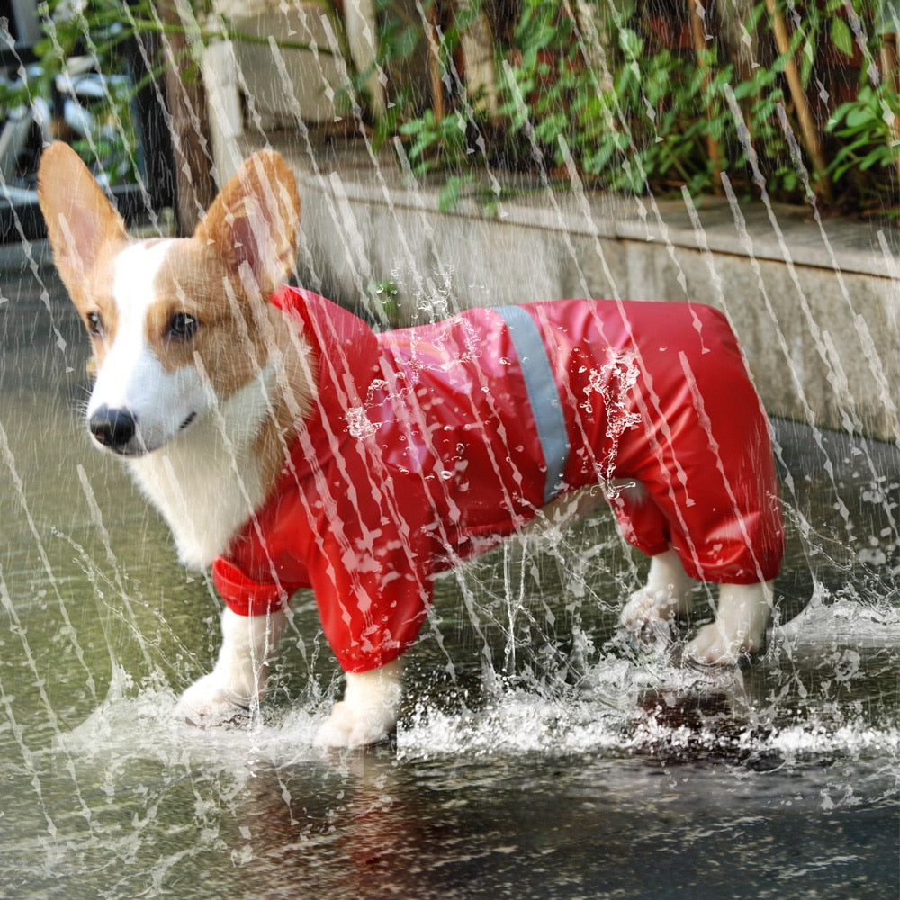 Reflective All-weather Waterproof Dog Rain Coat