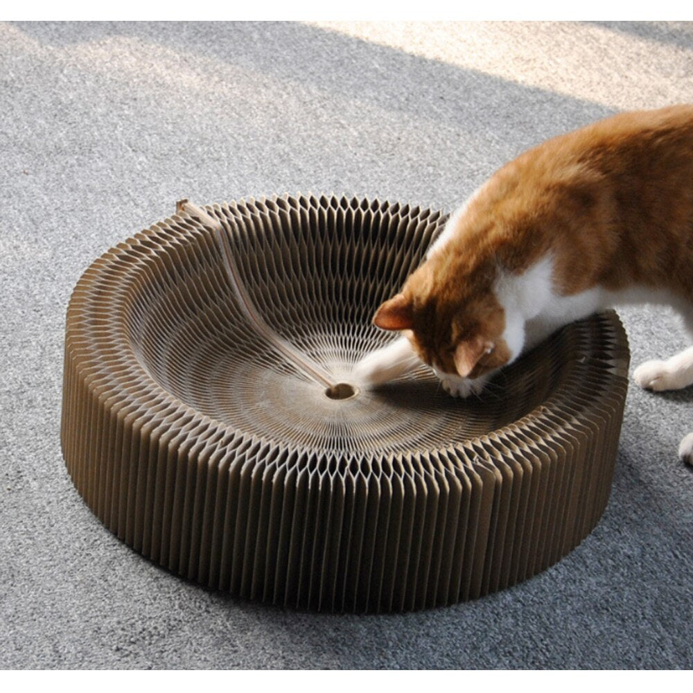 Magic Organ Cat Scratching Board