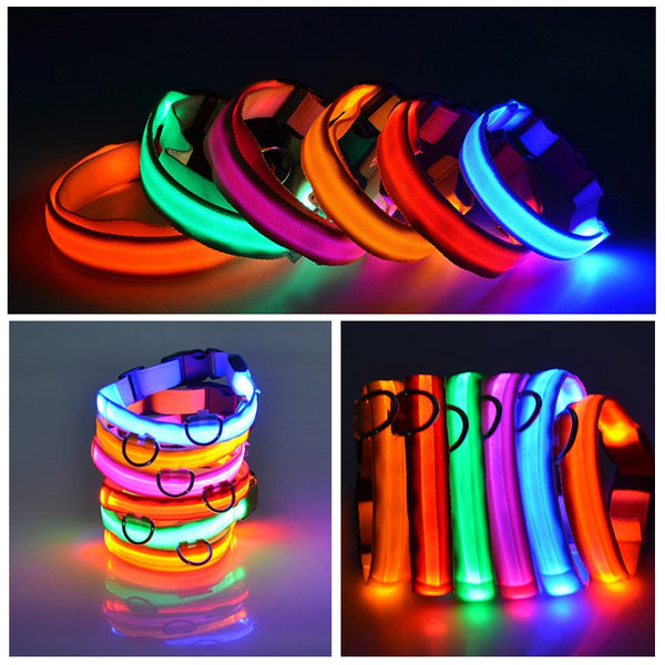 LED Flashing Dog Collar