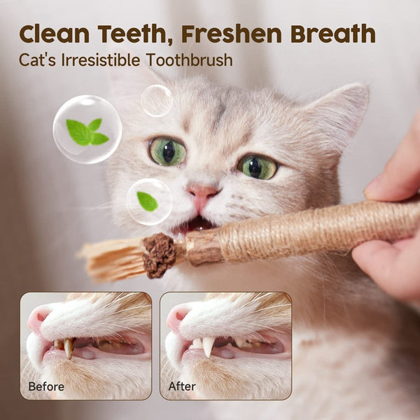 Natural Silvervine Stick Cat Chew Toy-2pcs