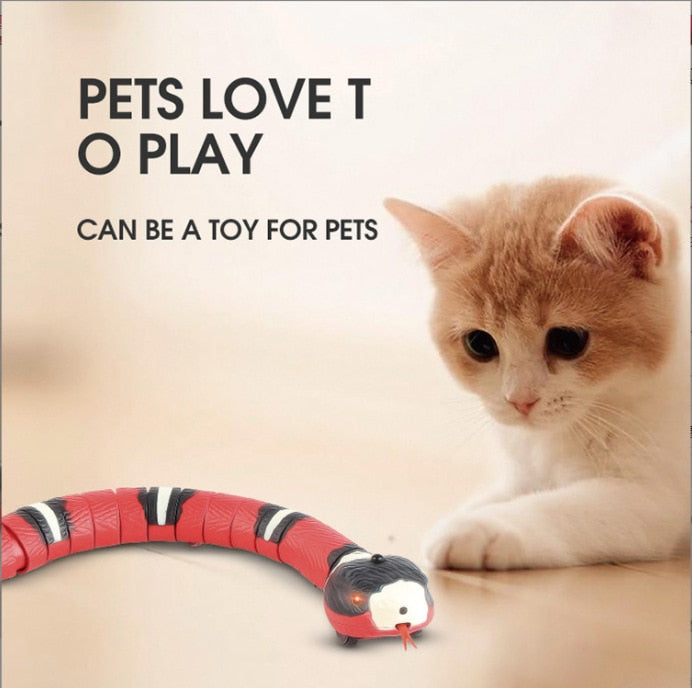 USB Charging Cat Accessories For Pet Dogs