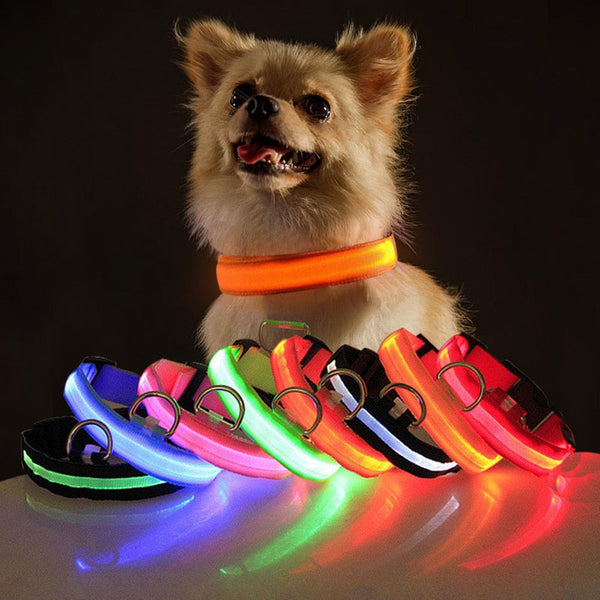 LED Flashing Dog Collar