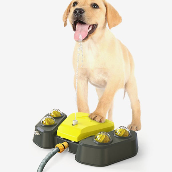 Dog Water Sprinkler