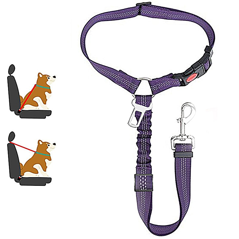 Car Dog Leash