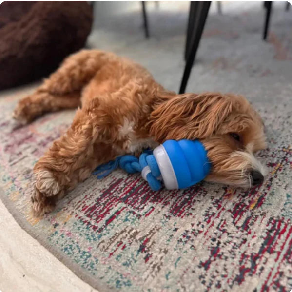 Interactive Chew Toy For Dogs - Fun To Move And Think