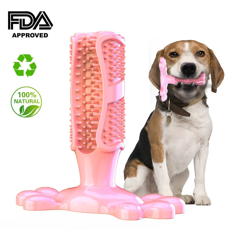 EZ Care Dog Toothbrush