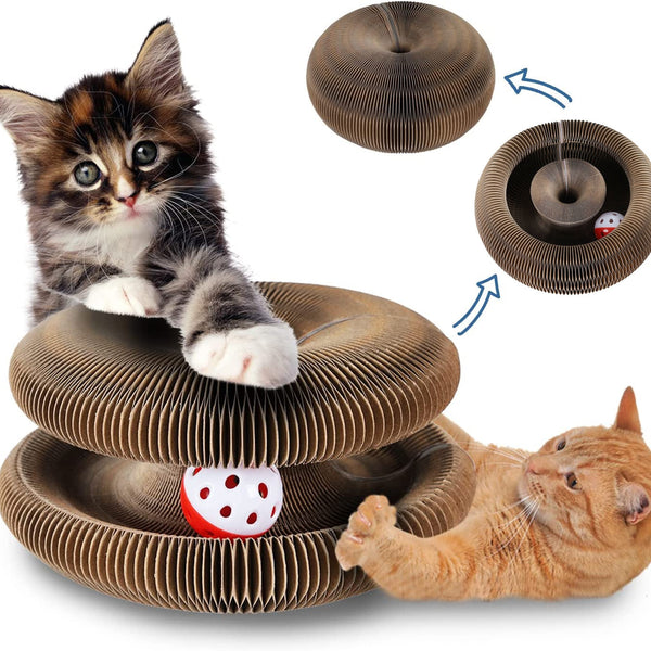 Interactive Self-Rolling Ball Cat Toy